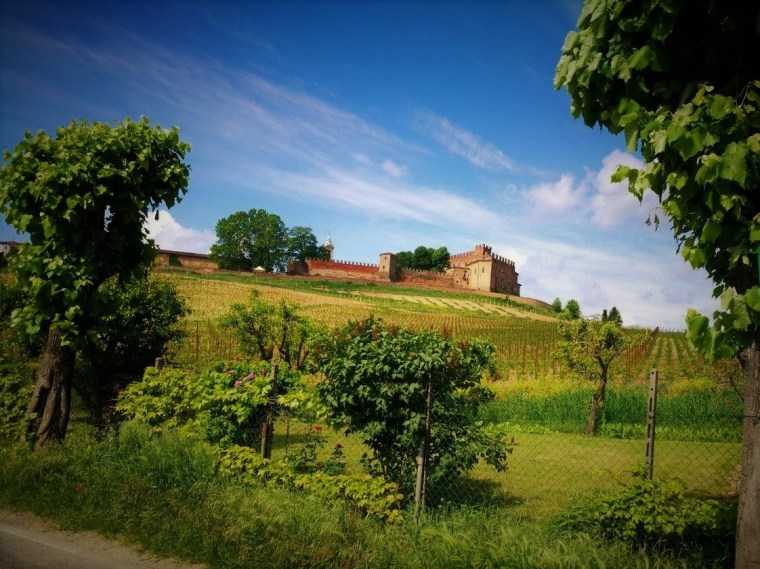 2018-05-13 10.59.03 - Kopie